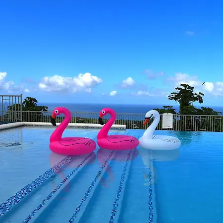Luxe Oasis