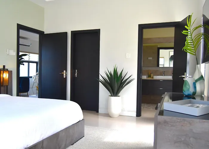 Luxe Oasis
